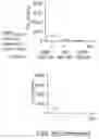 Fig. 13 - METHODS AND COMPOSITIONS FOR SUSTAINED IMMUNOTHERAPY