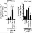 Fig. 01 - Hyperactive Dendritic Cells Enable Durable Adoptive Cell Transfer-Based Anti-Tumor Immunity