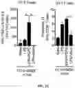 Fig. 05 - Hyperactive Dendritic Cells Enable Durable Adoptive Cell Transfer-Based Anti-Tumor Immunity