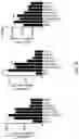Fig. 12 - Hyperactive Dendritic Cells Enable Durable Adoptive Cell Transfer-Based Anti-Tumor Immunity