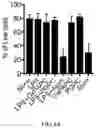 Fig. 13 - Hyperactive Dendritic Cells Enable Durable Adoptive Cell Transfer-Based Anti-Tumor Immunity