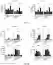 Fig. 17 - Hyperactive Dendritic Cells Enable Durable Adoptive Cell Transfer-Based Anti-Tumor Immunity