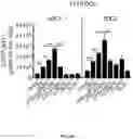 Fig. 19 - Hyperactive Dendritic Cells Enable Durable Adoptive Cell Transfer-Based Anti-Tumor Immunity