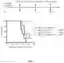 Fig. 20 - Hyperactive Dendritic Cells Enable Durable Adoptive Cell Transfer-Based Anti-Tumor Immunity