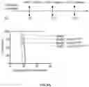 Fig. 21 - Hyperactive Dendritic Cells Enable Durable Adoptive Cell Transfer-Based Anti-Tumor Immunity