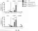 Fig. 22 - Hyperactive Dendritic Cells Enable Durable Adoptive Cell Transfer-Based Anti-Tumor Immunity