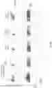 Fig. 23 - Hyperactive Dendritic Cells Enable Durable Adoptive Cell Transfer-Based Anti-Tumor Immunity