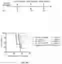 Fig. 24 - Hyperactive Dendritic Cells Enable Durable Adoptive Cell Transfer-Based Anti-Tumor Immunity