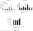 Fig. 28 - Hyperactive Dendritic Cells Enable Durable Adoptive Cell Transfer-Based Anti-Tumor Immunity