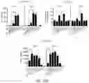 Fig. 29 - Hyperactive Dendritic Cells Enable Durable Adoptive Cell Transfer-Based Anti-Tumor Immunity