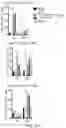 Fig. 31 - Hyperactive Dendritic Cells Enable Durable Adoptive Cell Transfer-Based Anti-Tumor Immunity