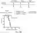Fig. 36 - Hyperactive Dendritic Cells Enable Durable Adoptive Cell Transfer-Based Anti-Tumor Immunity