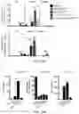 Fig. 40 - Hyperactive Dendritic Cells Enable Durable Adoptive Cell Transfer-Based Anti-Tumor Immunity