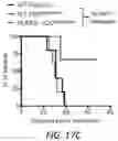 Fig. 44 - Hyperactive Dendritic Cells Enable Durable Adoptive Cell Transfer-Based Anti-Tumor Immunity