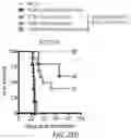 Fig. 55 - Hyperactive Dendritic Cells Enable Durable Adoptive Cell Transfer-Based Anti-Tumor Immunity