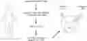 Fig. 01 - CHIMERIC RECEPTOR PROTEINS AND USES THEREOF