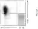Fig. 03 - CHIMERIC RECEPTOR PROTEINS AND USES THEREOF