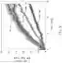 Fig. 04 - CHIMERIC RECEPTOR PROTEINS AND USES THEREOF