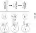 Fig. 10 - CHIMERIC RECEPTOR PROTEINS AND USES THEREOF