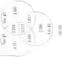 Fig. 13 - CHIMERIC RECEPTOR PROTEINS AND USES THEREOF