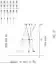 Fig. 15 - CHIMERIC RECEPTOR PROTEINS AND USES THEREOF