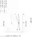 Fig. 16 - CHIMERIC RECEPTOR PROTEINS AND USES THEREOF