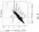 Fig. 23 - CHIMERIC RECEPTOR PROTEINS AND USES THEREOF