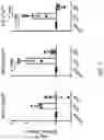 Fig. 27 - CHIMERIC RECEPTOR PROTEINS AND USES THEREOF