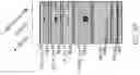 Fig. 43 - CHIMERIC RECEPTOR PROTEINS AND USES THEREOF