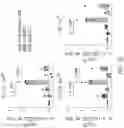 Fig. 44 - CHIMERIC RECEPTOR PROTEINS AND USES THEREOF