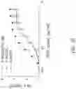 Fig. 46 - CHIMERIC RECEPTOR PROTEINS AND USES THEREOF