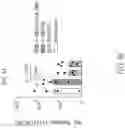 Fig. 51 - CHIMERIC RECEPTOR PROTEINS AND USES THEREOF