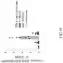 Fig. 52 - CHIMERIC RECEPTOR PROTEINS AND USES THEREOF