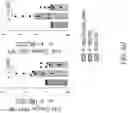 Fig. 54 - CHIMERIC RECEPTOR PROTEINS AND USES THEREOF