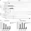 Fig. 01 - Immunotherapy Targeting Tumor Neoantigenic Peptides