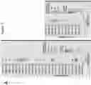 Fig. 08 - Immunotherapy Targeting Tumor Neoantigenic Peptides
