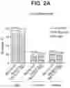 Fig. 04 - NEISSERIA MENINGITIDIS COMPOSITIONS AND METHODS THEREOF