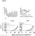 Fig. 08 - NOVEL TREATMENT AND PREVENTION OF DISEASE BASED ON IMMUNOLOGICAL MEMORY