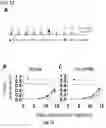 Fig. 11 - NOVEL TREATMENT AND PREVENTION OF DISEASE BASED ON IMMUNOLOGICAL MEMORY