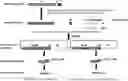 Fig. 01 - FcRn-targeted mucosal vaccination against RSV