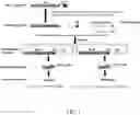Fig. 02 - FcRn-targeted mucosal vaccination against RSV