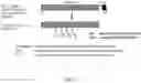 Fig. 03 - FcRn-targeted mucosal vaccination against RSV