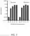 Fig. 04 - SINDBIS VIRUS DNA-BASED VACCINE