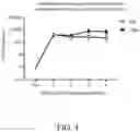 Fig. 05 - SINDBIS VIRUS DNA-BASED VACCINE