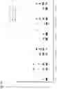 Fig. 05 - NOVEL PRIME-BOOST INFLUENZA VACCINE
