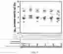 Fig. 07 - HUMAN CYTOMEGALOVIRUS VACCINE