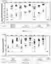 Fig. 22 - HUMAN CYTOMEGALOVIRUS VACCINE