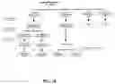 Fig. 31 - HUMAN CYTOMEGALOVIRUS VACCINE