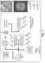 Fig. 04 - Compositions, Methods and Kits for Eliciting an Immune Response