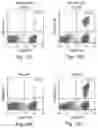 Fig. 13 - Compositions, Methods and Kits for Eliciting an Immune Response